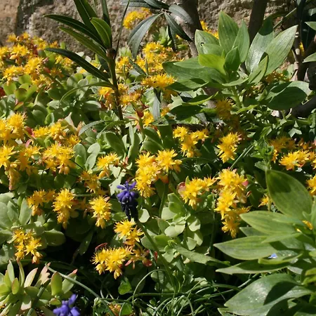 アパート Paradiso *