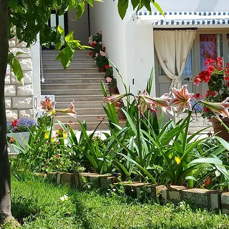 Apartman Paradiso *