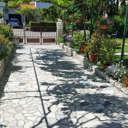 Paradiso Πούλα