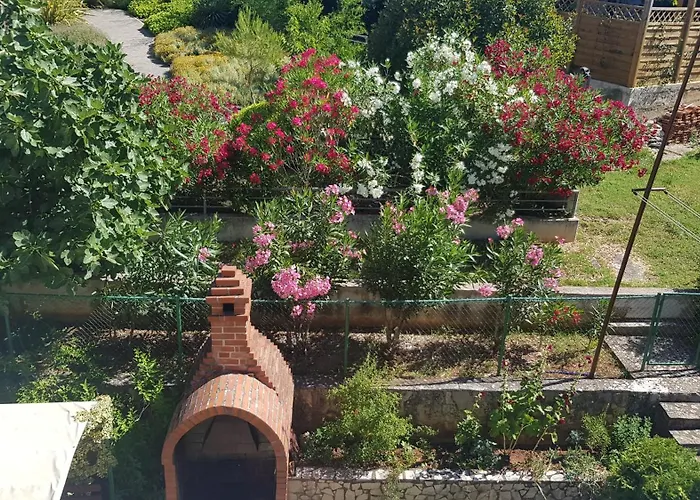 Paradiso *