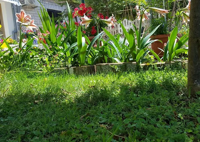 Apartmán Paradiso *