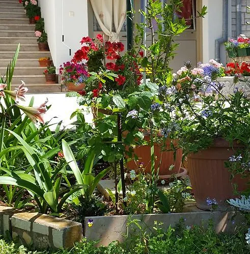 Apartmán Paradiso Pula