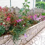 Apartamento Paradiso