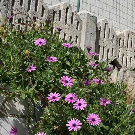 Apartmán Paradiso