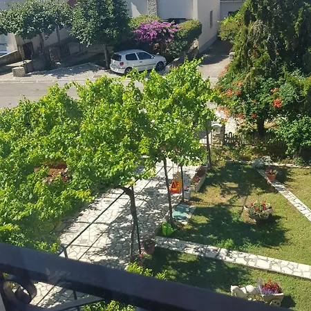 Paradiso 풀라