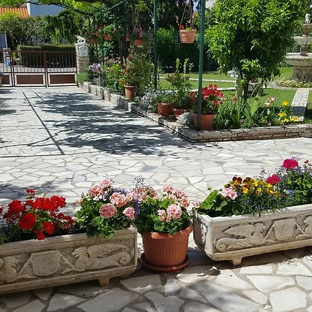 Paradiso 풀라