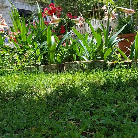 Apartament Paradiso *