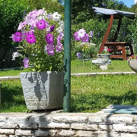 Paradiso