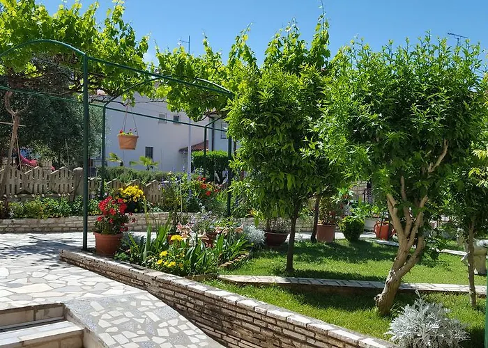 Paradiso Póla