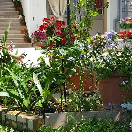 公寓 Paradiso 普拉